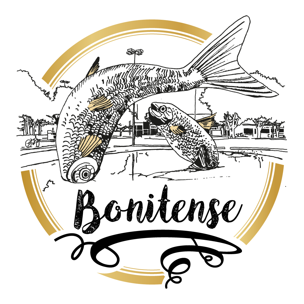ICON-BONITENSE